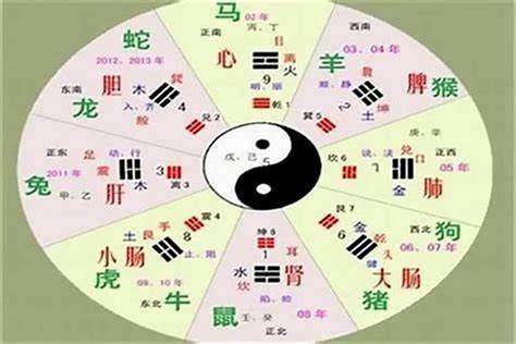 卓五行|卓字的五行是什么,卓的五行属性及吉利寓意